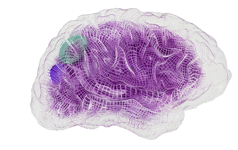 IFP-Beisch Software Engineering für Industrie und Verteidigung, Abbildung eines synthetischen AI-generierten Gehirns, von Pexels und Google DeepMind.